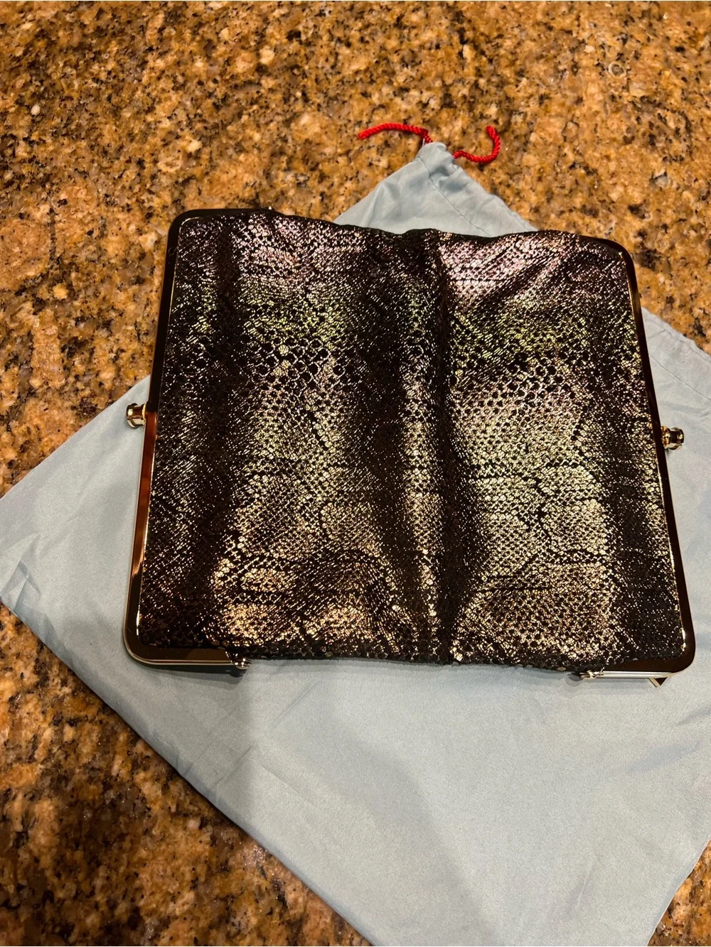 HOBO Iridescent Snake-Embossed Clutch in Brown and Black